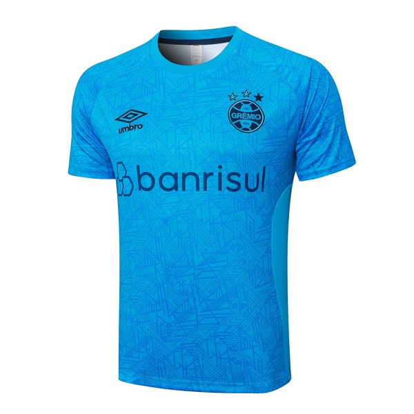 Camiseta Entrenamiento Grêmio FBPA 2024/25 Azul